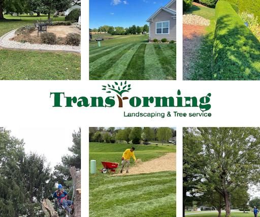 Tree Service for Transforming Landscaping & Tree Service in Bowling Green, KY