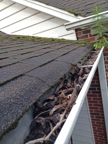 All Photos for Olmedo Home Services in Davie County, NC