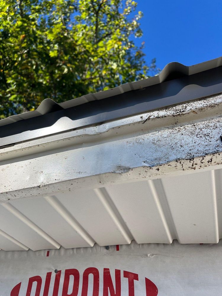 All Photos for Jalbert Contracting LLC in Alton, NH