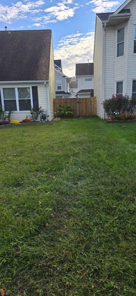 All Photos for Beach Tree Care in Virginia Beach, VA