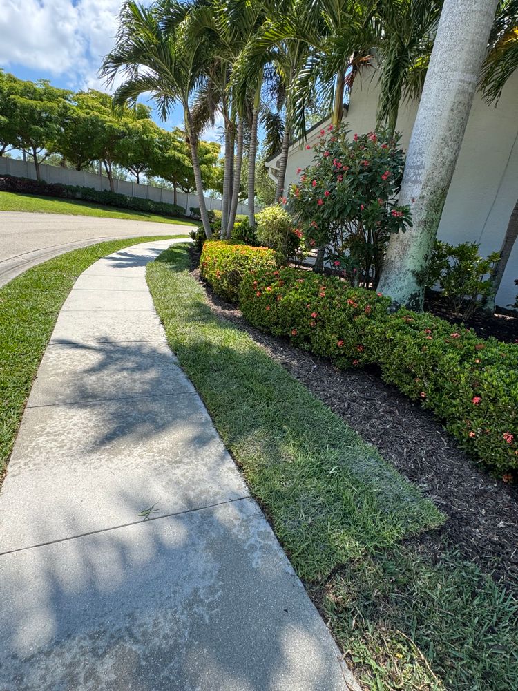 All Photos for BH Lawn and Landscape in Fort Myers, FL