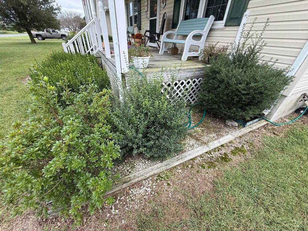 All Photos for Bew’s Lawn Care in Girdletree, MD