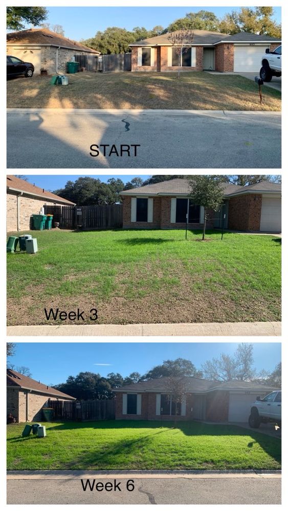 Lawn Care for Scalpel Lawn Service in Temple, TX