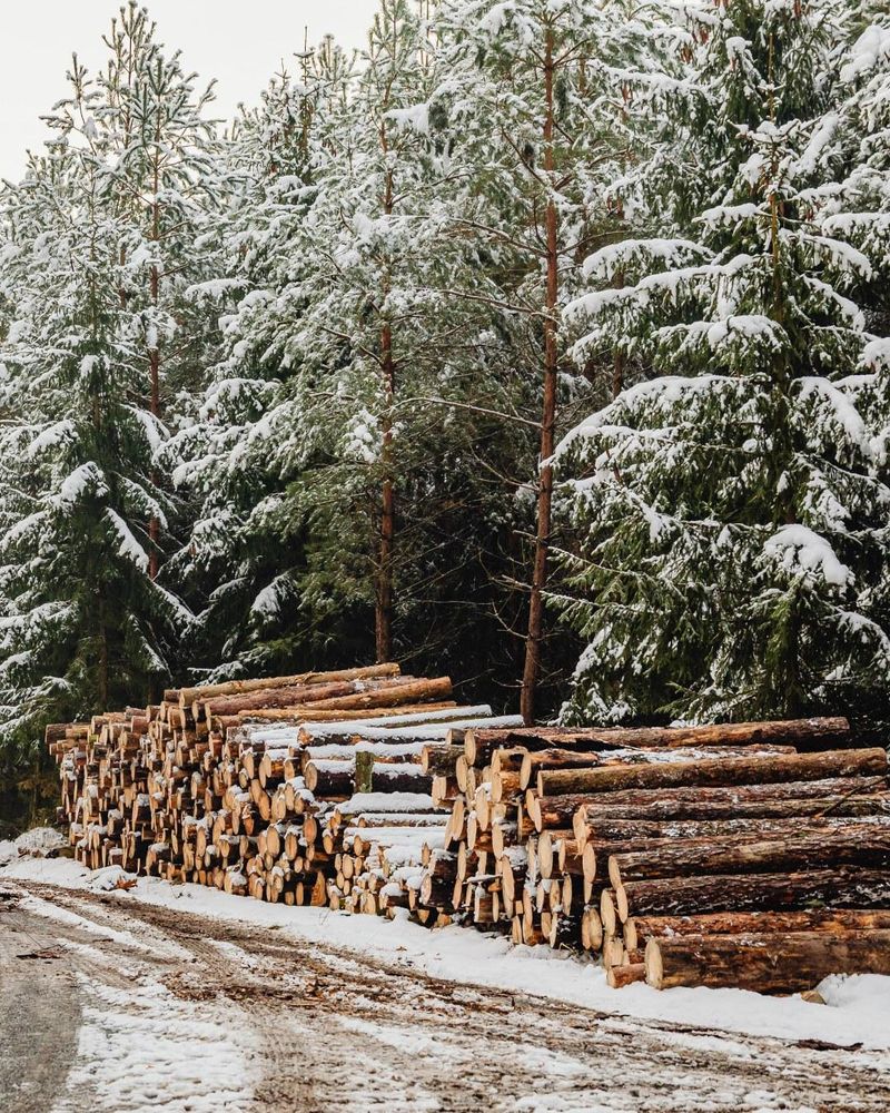 All Photos for Oakwood Tree Removal LLC in Oak Creek,  WI