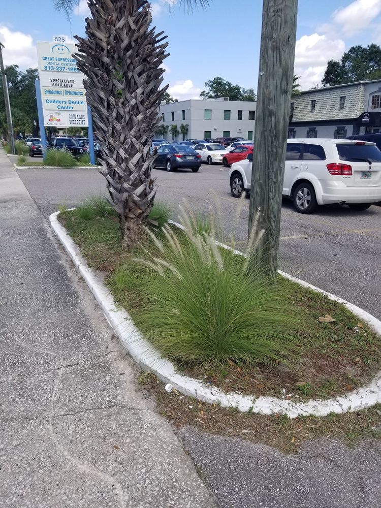 Landscaping for Tezna Landscaping, Trees & Pavers in Valrico, FL
