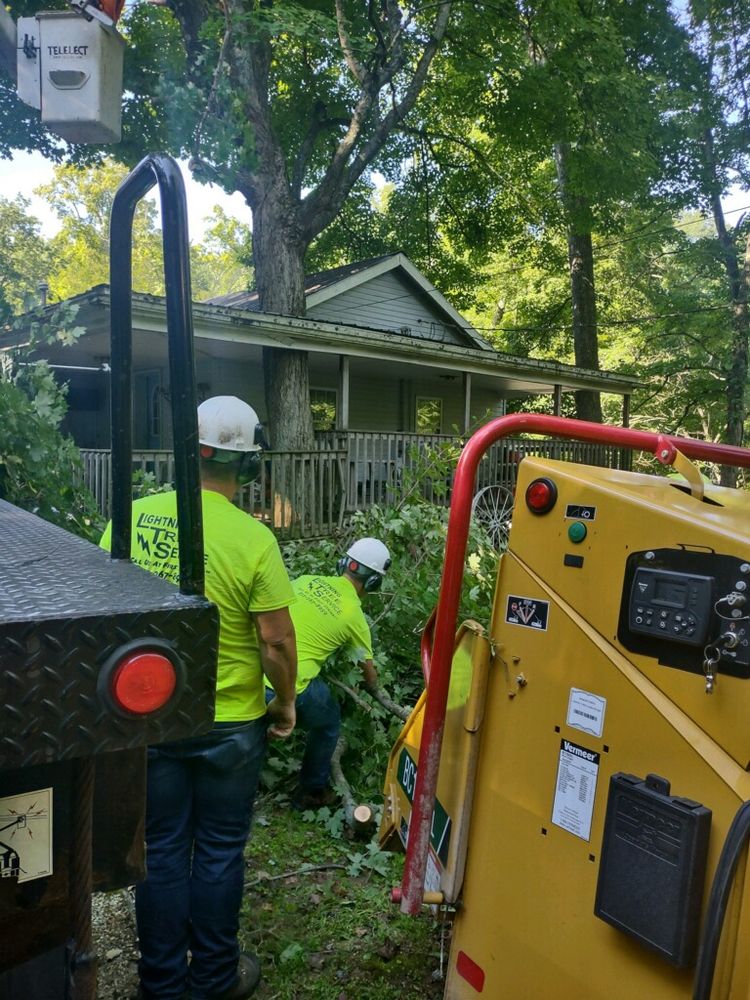 All Photos for Lightning Tree Service in Corydon, IN