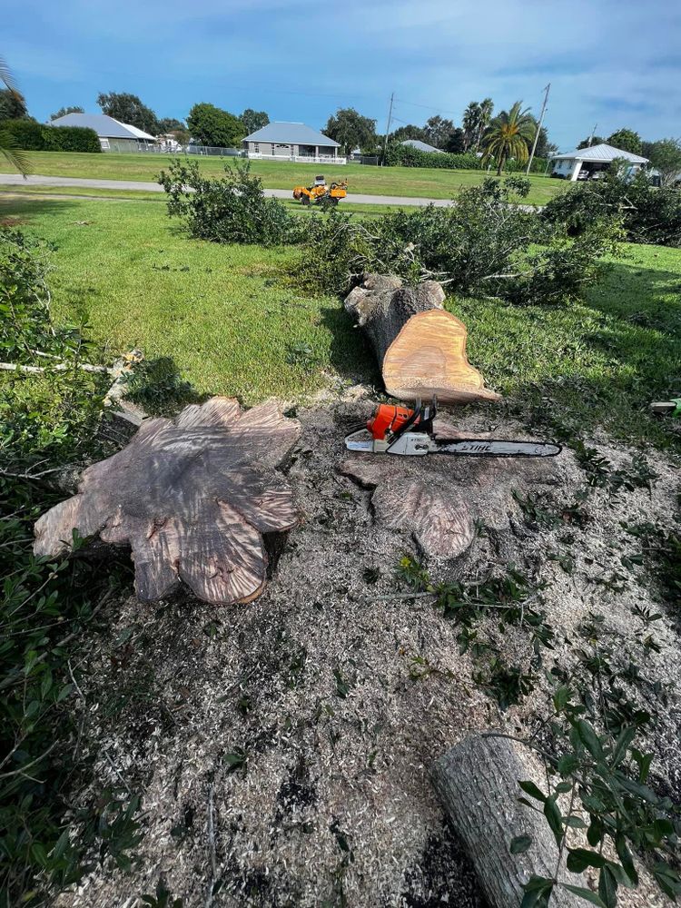 Our professional Tree Removal service safely and efficiently eliminates unwanted trees from your property, enhancing safety, aesthetics, and overall landscape health. Contact us today for a free consultation. for Outdoor Solutions Of The Glades in Hendry County, FL