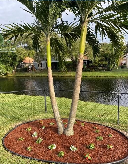 All Photos for A.C.'s Landscape and Lawn Maintenance in   Coral Springs, FL