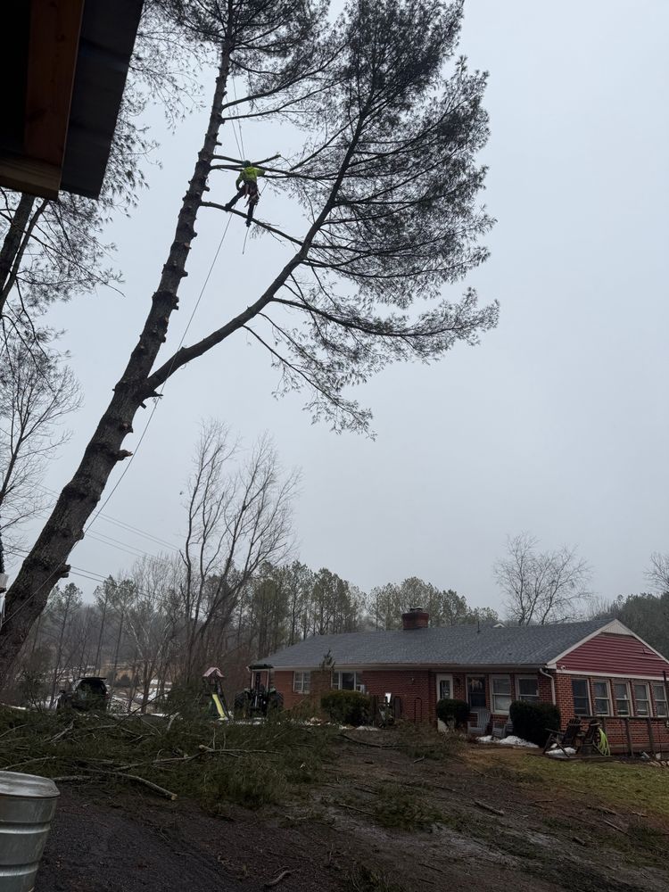 All Photos for VA Landgrowth LLC in Lexington, VA