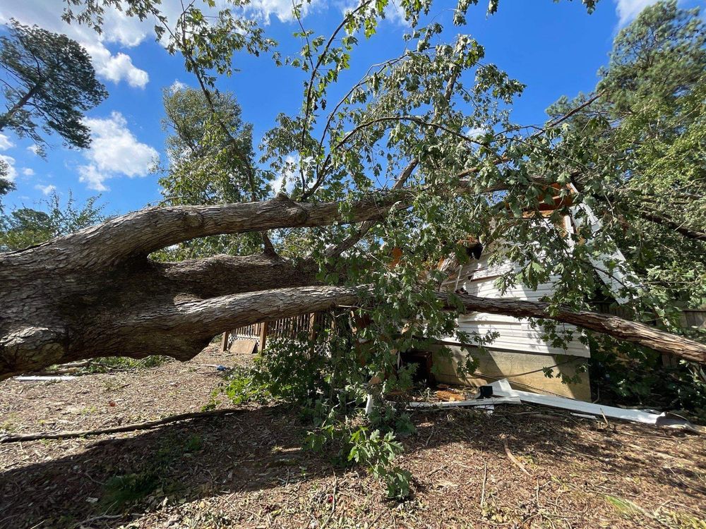 All Photos for Bulldawg Disaster Response in Atlanta, GA