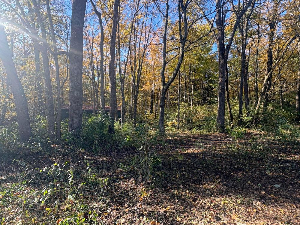 All Photos for Dig-It Tree Company in Mason, OH