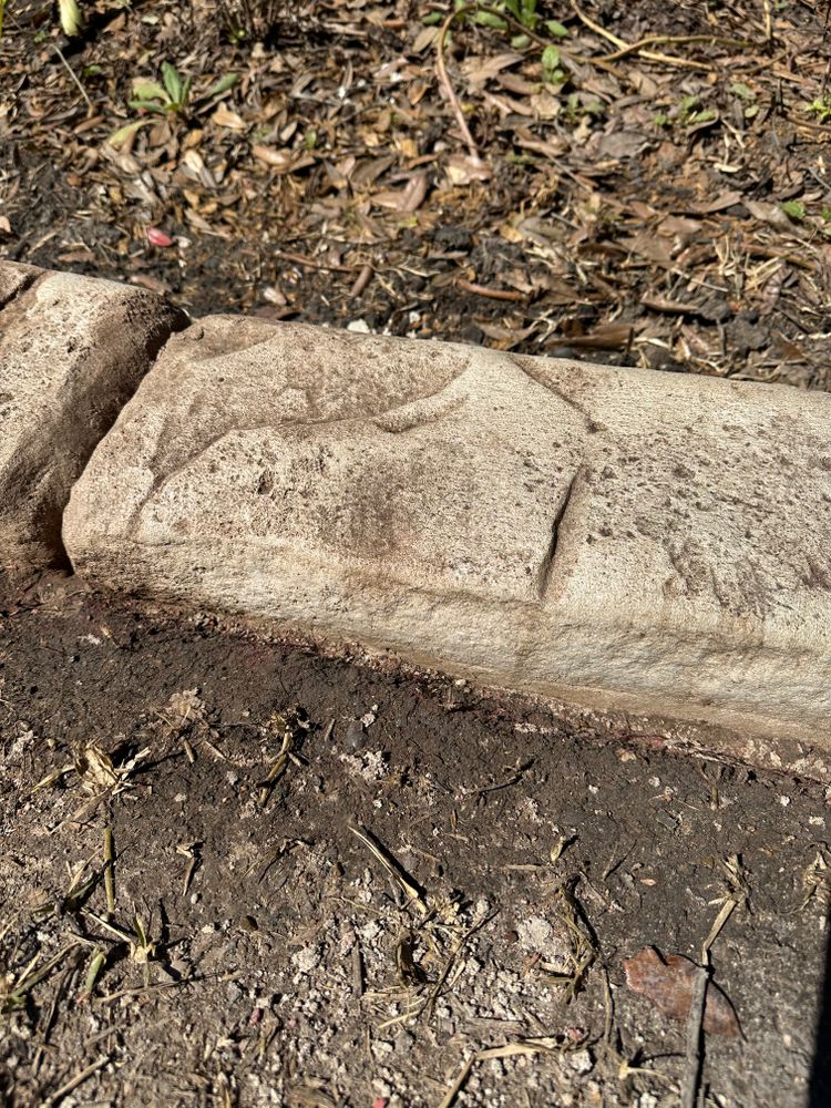 All Photos for Texas Curb N Borders in Houston, TX