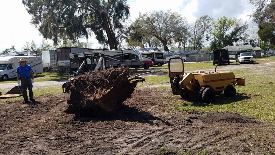 Our Stump Removal service efficiently eliminates unsightly stumps left behind after tree removal, ensuring a clean and safe yard for your family to enjoy without any tripping hazards. for Spruce Creek Tree Service in Port Orange, FL