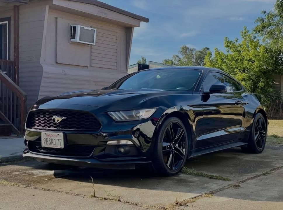 All Photos for Yuba City Mobile Car Detailing in Yuba City, CA