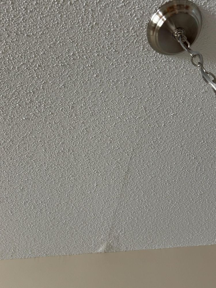 All Photos for Mr. Mole's Painting in Bemidji, MN