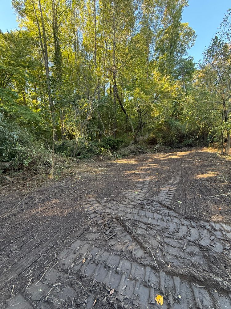 Land Clearing/ Grading Projects  for Early Byrd Landscaping & Lawn Care  in Angier, NC