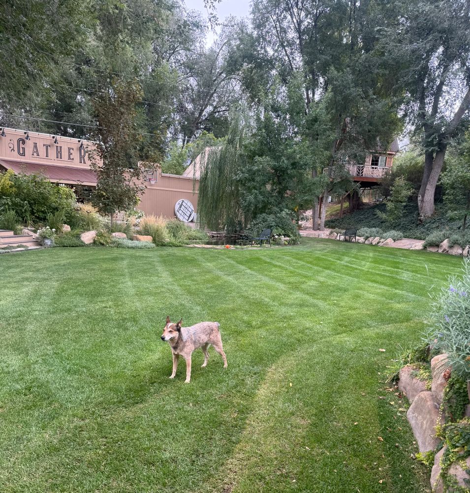 All Photos for Platinum Lawn Service in Santaquin, UT