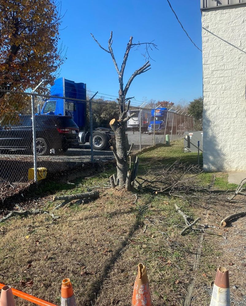 Mulching for America's Top Pick Lawn & Landscaping in Gastonia, NC