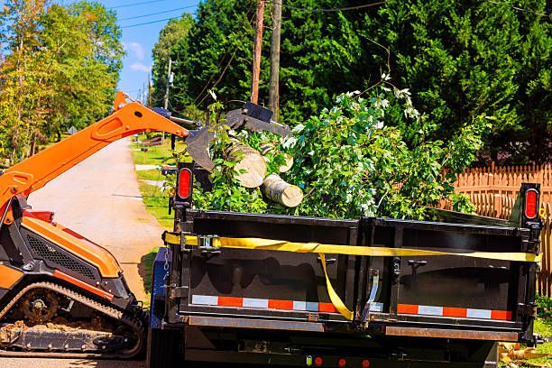 All Photos for J&Q Tree Service in Paradise, MI