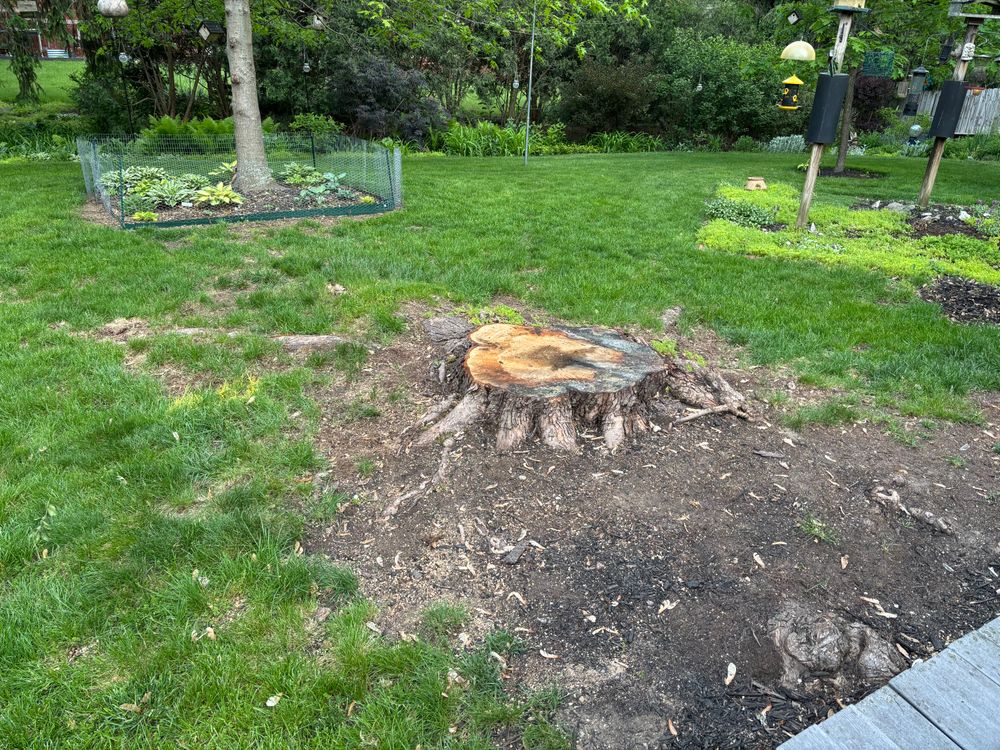 All Photos for Conrad's Stump Removal in Columbus, IN