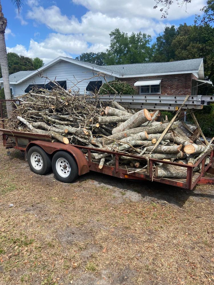 Fall and Spring Clean Up for Efficient and Reliable Tree Service in Lake Wales, FL