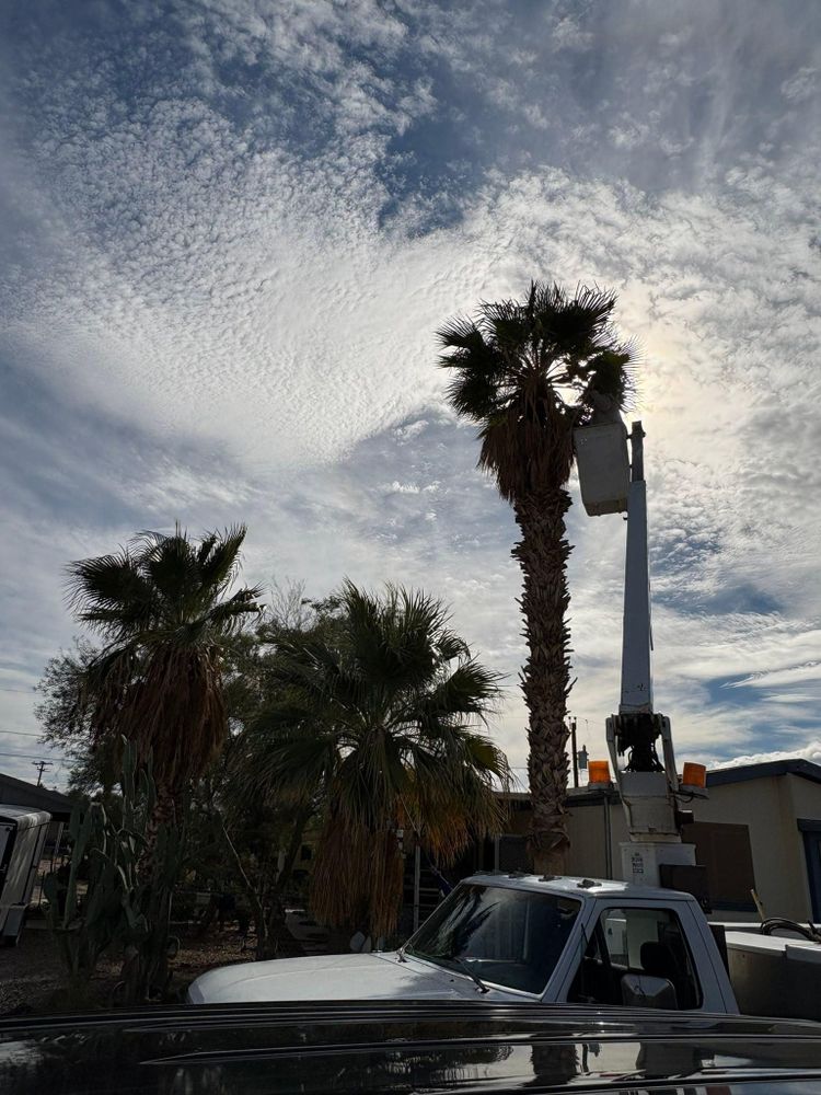 All Photos for Top Notch Landscape Services LLC in Mohave Valley, AZ