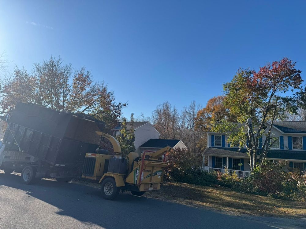 All Photos for Branch Out Tree Care LLC in Fredericksburg, VA
