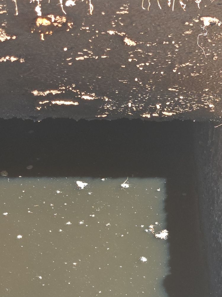 All Photos for Boo Septic Tank Service in Houston County, GA