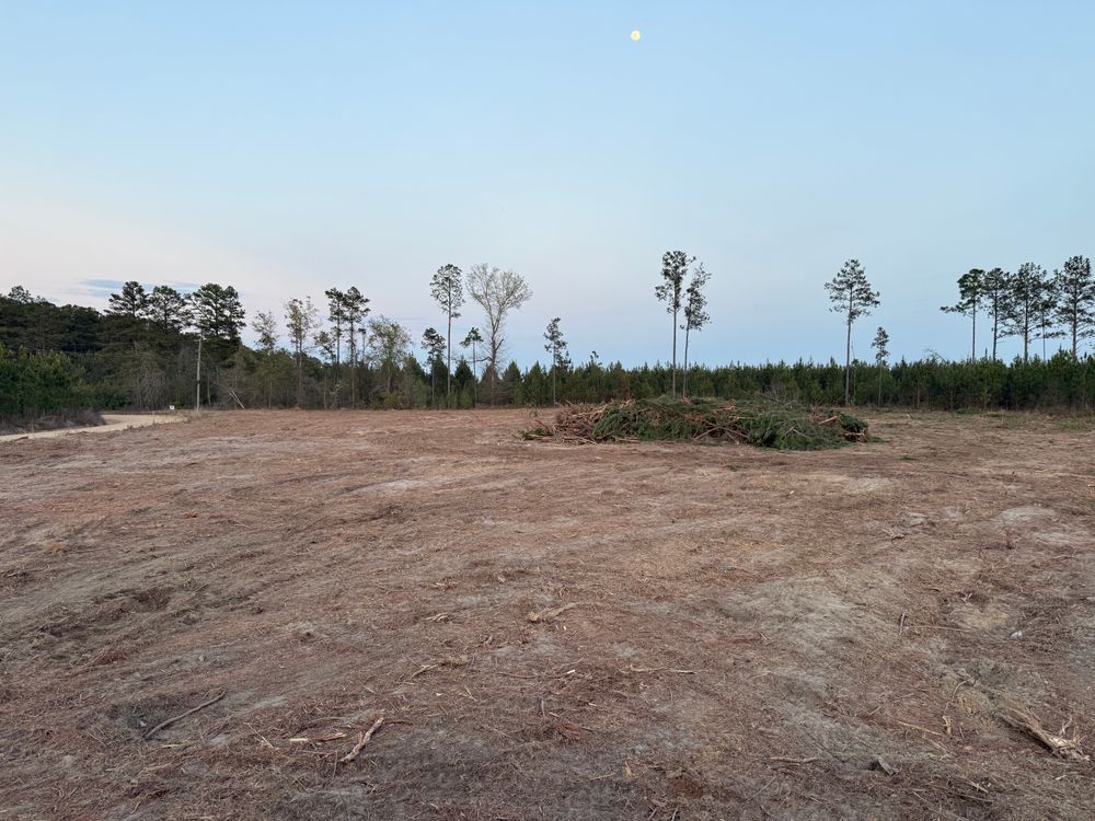 All Photos for T N L - Tree and Land Service in Reynolds, GA