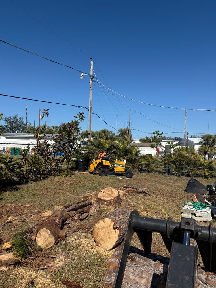 All Photos for MX Trees LLC in Englewood, FL