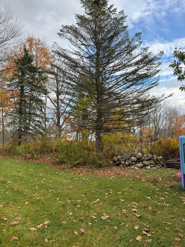 All Photos for CWB Lawn Care & Landscaping in Franklin County, ME