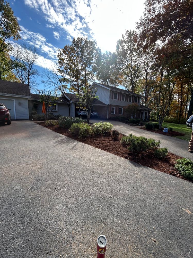 All Photos for Optimum Tree Service And Landscaping in Bowling Green, KY