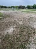 All Photos for Oviedo Land & Garden in Bastrop, TX