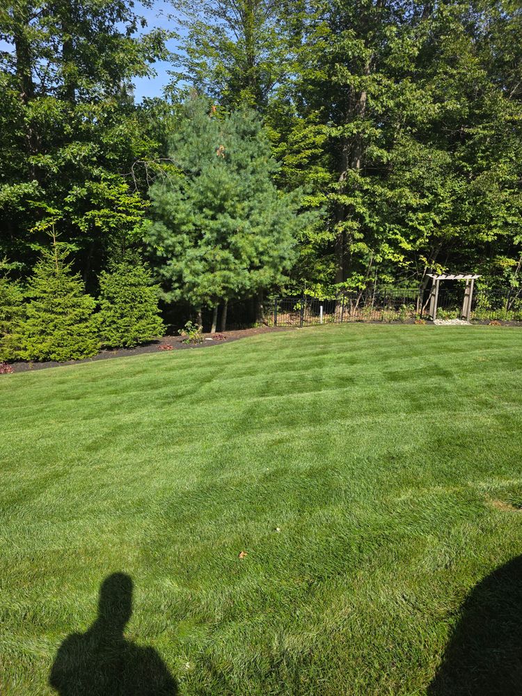 All Photos for Sweet Scapes in Ballston Spa, NY
