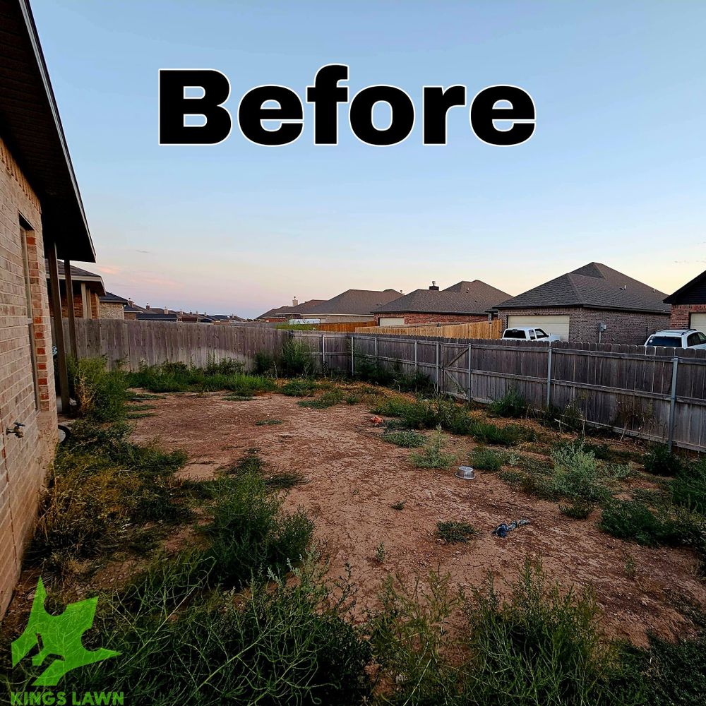 All Photos for KINGS LAWN SERVICE LLC in Amarillo, TX