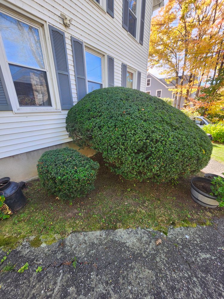 All Photos for Landscape Innovations LLC in Torrington, CT