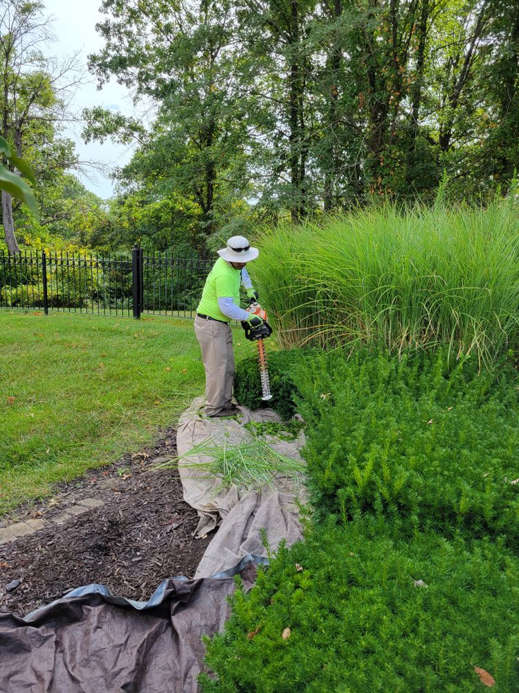 All Photos for Contemporary Landscape in St. Louis, MO