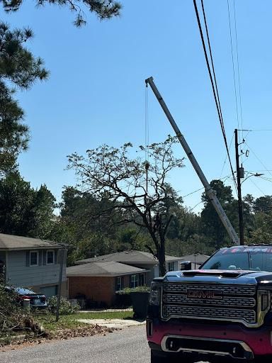 All Photos for Elite Tree & Landscape Services LLC in St. Augustine, FL