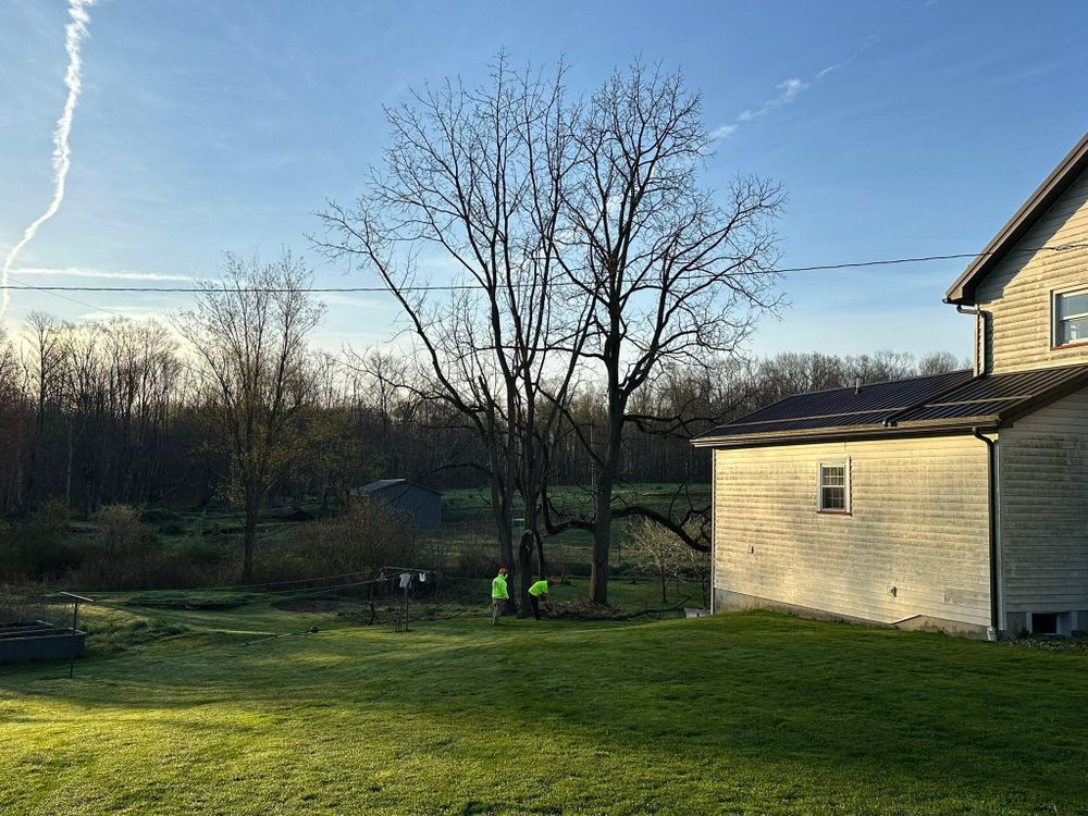 All Photos for Mad Tree Service in Cochranton, PA