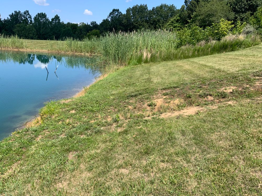 All Photos for Mayfield Landscaping in Staunton, IL