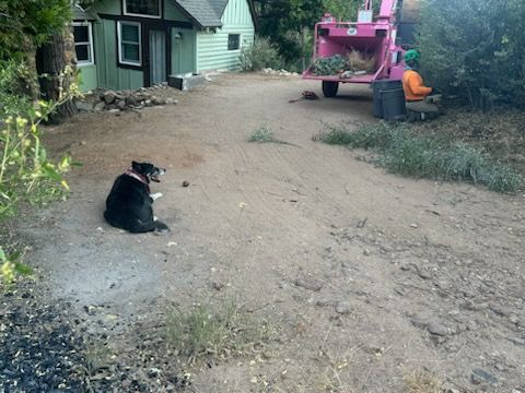 Property Clean Up for The Tree Fairy in Temecula, CA