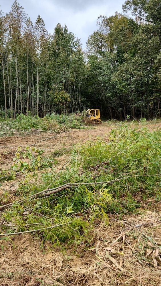 All Photos for Watkins Excavation in Robards, KY