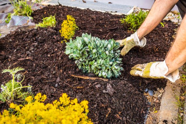 Enhance your landscape's beauty and health with our professional mulch installation service, adding vibrant curb appeal while conserving soil moisture, suppressing weeds, and improving overall plant growth. Quality materials ensure lasting results. for Bakers Landscape & Design in East Liverpool, OH