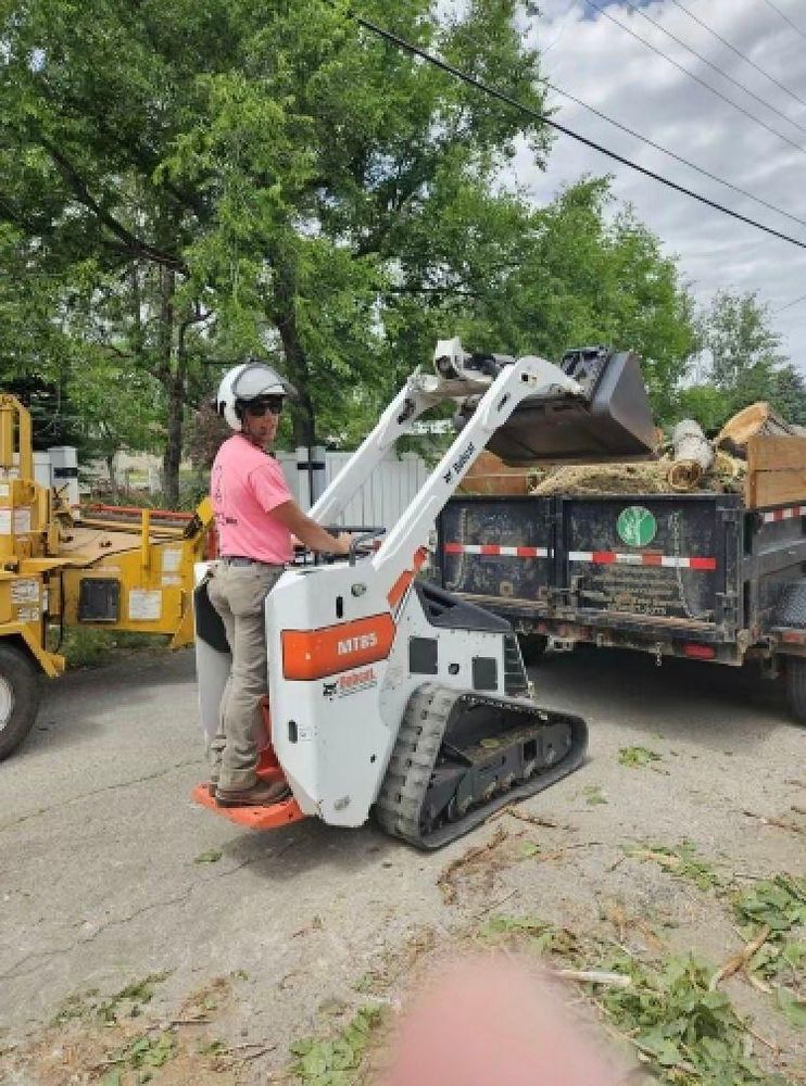 All Photos for Clean Cut Tree Service in Gillette, WY