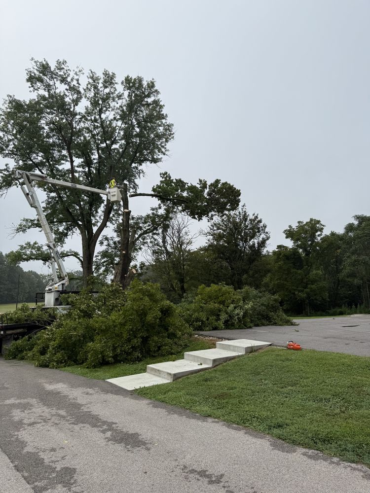 All Photos for Lightning Tree Service in Corydon, IN