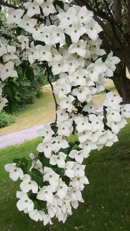 All Photos for Evolution Earthscapes, LLC in Ludlow, MA