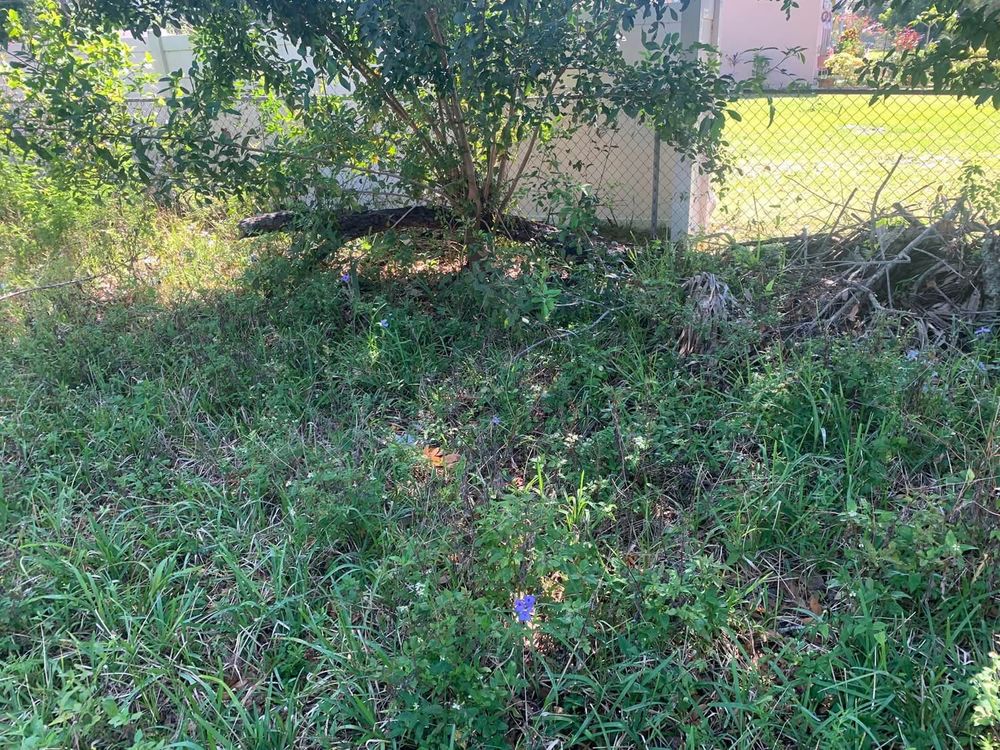 All Photos for Space Coast Property Maintenance and Management LLC in Melbourne, FL