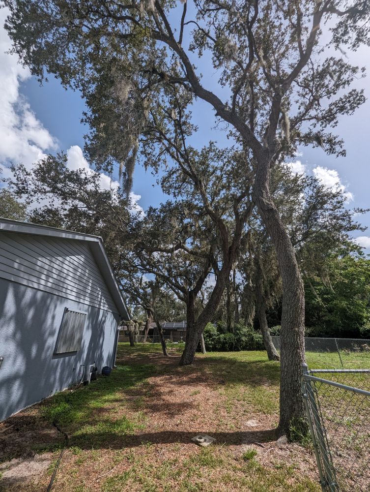 All Photos for Regal Tree Service and Stump Grinding in Wauchula, FL