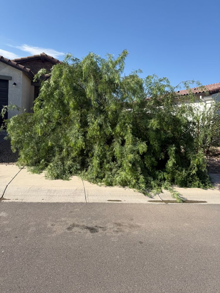 All Photos for Good Hands Landscape in Maricopa, AZ