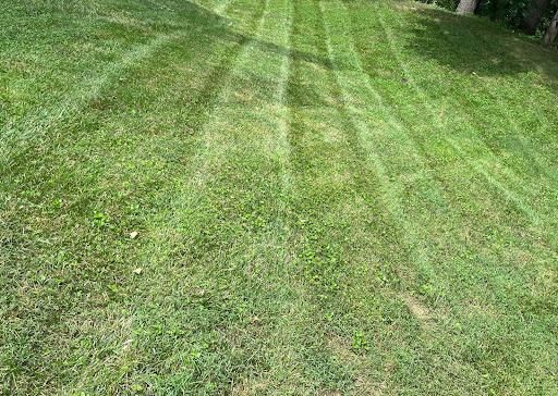 All Photos for Walsh Lawn And Landscape in Olney, MD